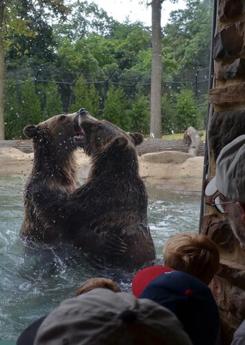 Akron Zoo