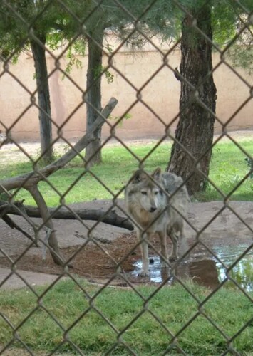 Alameda Park Zoo