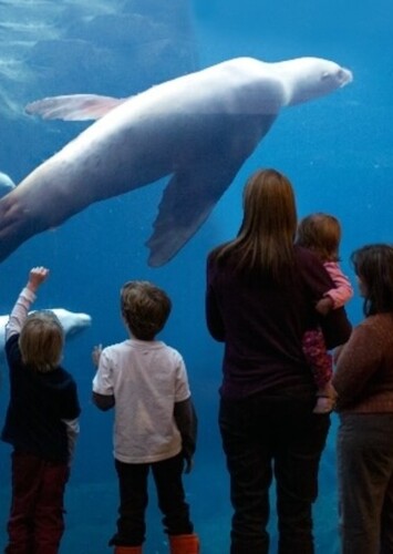 Alaska SeaLife Center