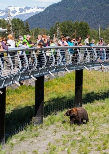 Alaska Wildlife Conservation Center