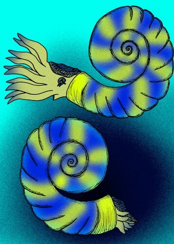 Alaskoceras