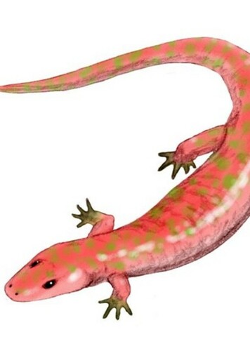 Albanerpeton