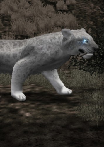 Albino