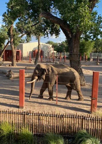 Albuquerque BioPark Zoo