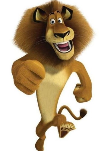 Alex The Lion