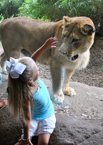 Alexandria Zoological Park