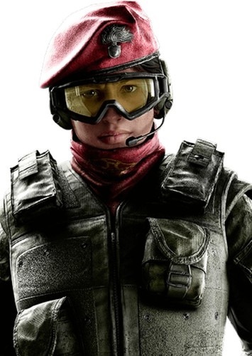 Alibi