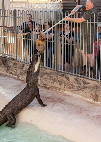 Alice Springs Reptile Centere