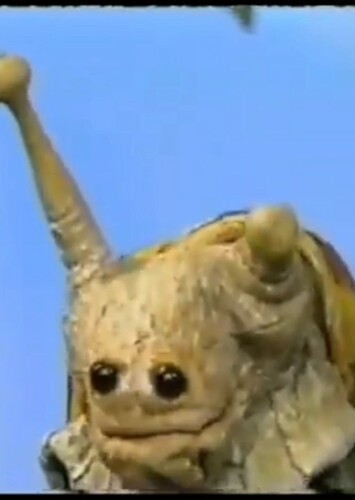 Alicia the Snail