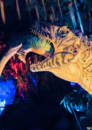 Alioramus