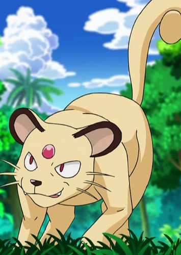 Giovanni's Persian