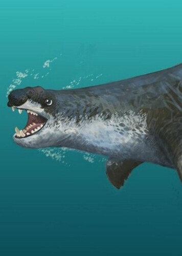 Allodesmus