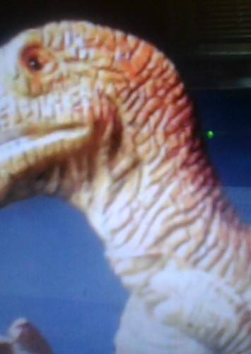 Allosaurus