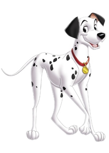 Pongo