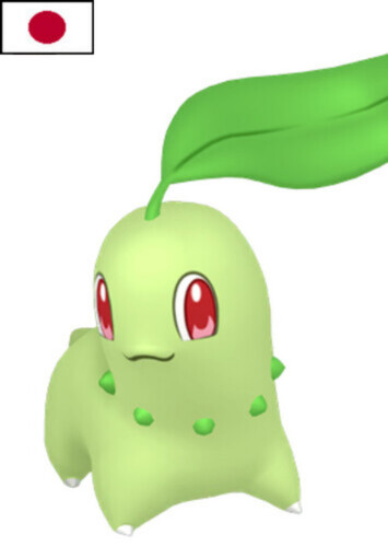 Amane's Chikorita (Japanese)