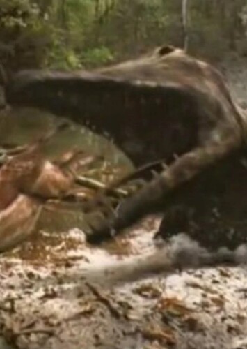 Ambulocetus