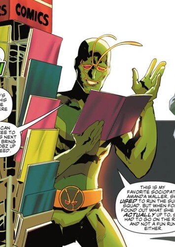 Ambush Bug