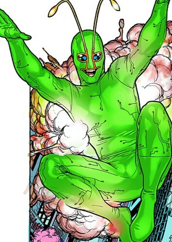 Ambush Bug