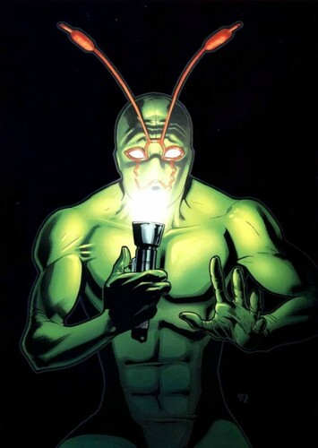 Ambush Bug