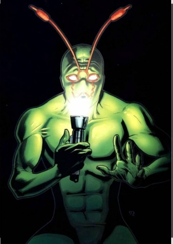 Ambush Bug