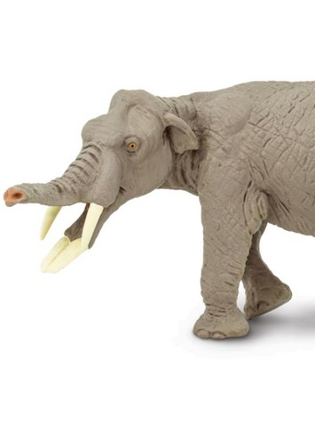 Amebelodon