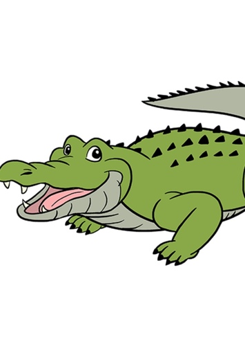 American Alligator
