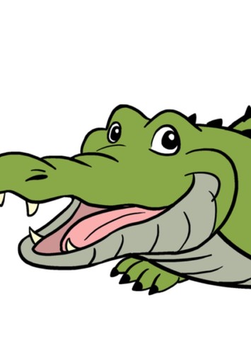 American Alligator