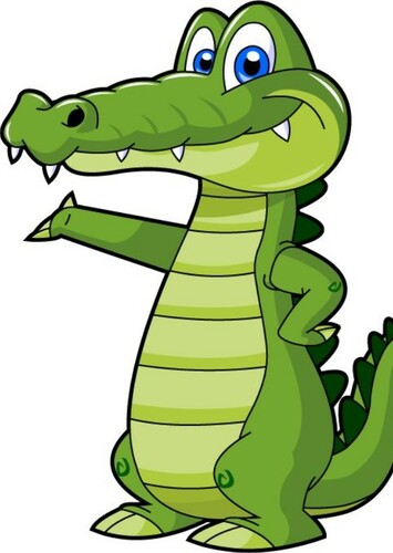 American Alligator