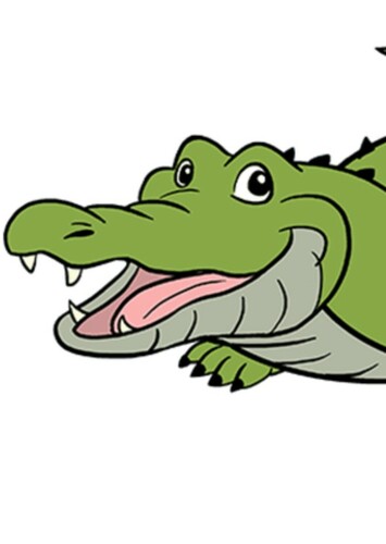 American Alligator
