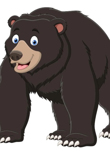American Black Bear