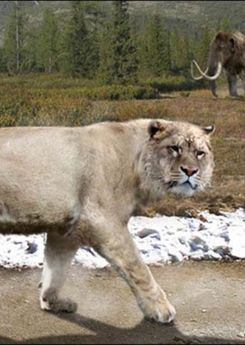American Lion