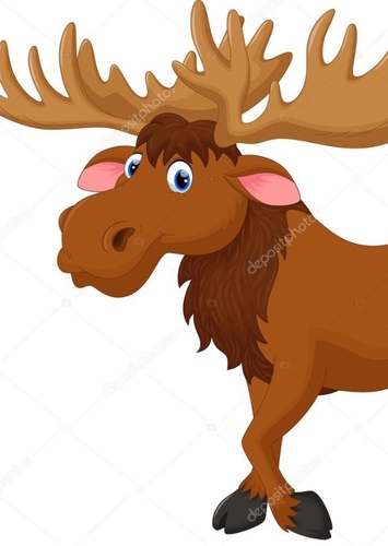 American Moose