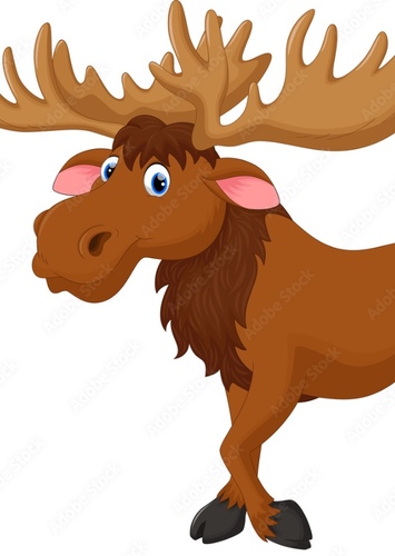 American Moose