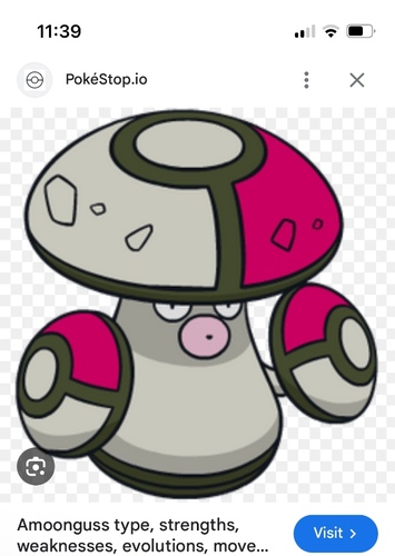 Amoongus