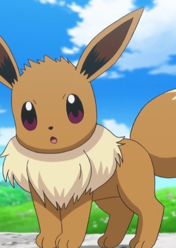 Amy's Eevee