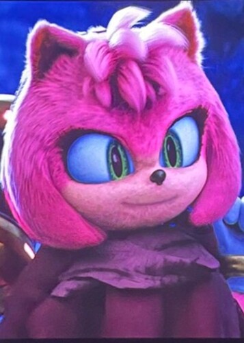 Amy the Hedgehog