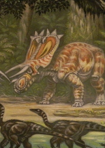 Anchiceratops