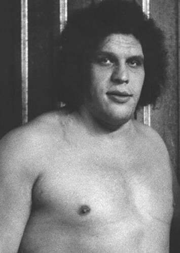 Andre The Giant