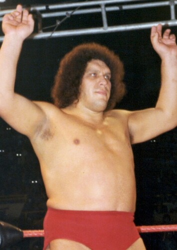 Andre The Giant