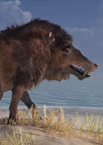 Andrewsarchus