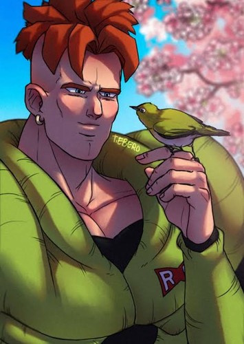 Android 16