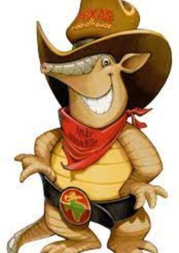 Andy Armadillo