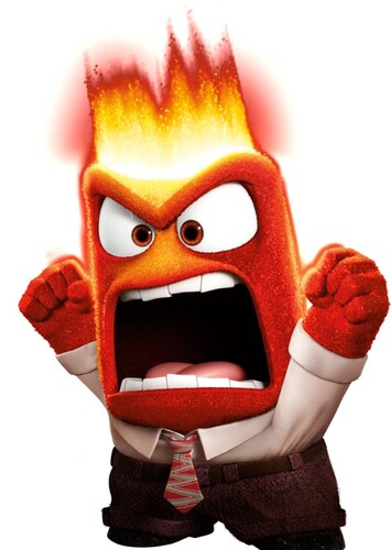 Stupid Anger