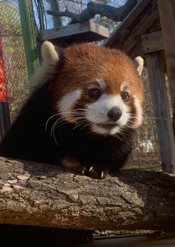 Animal Discovery Zoological Park
