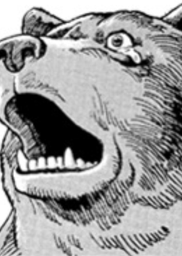 Animal Reaction Shot