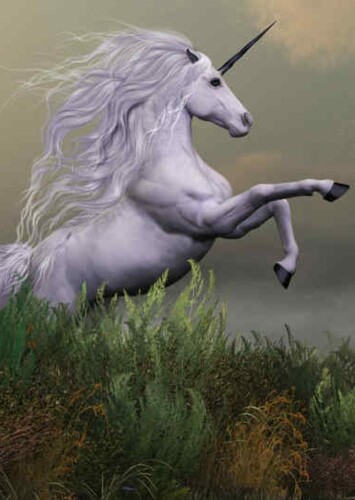Animal: Unicorn