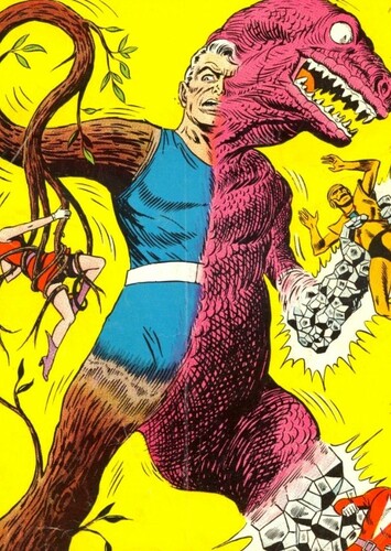 Animal-Vegetable-Mineral Man