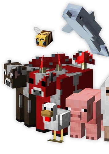 Animals