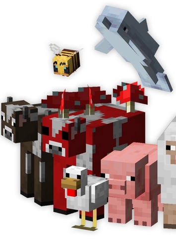 Animals