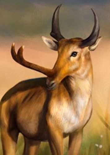 Antelope